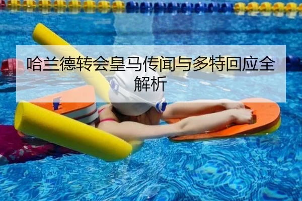 哈兰德转会皇马传闻与多特回应全解析 - leisu